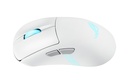 Icecat