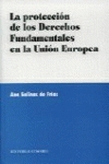 La proteccion de los derechos fundamentales en la union europea