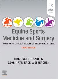 Equine sports medicine and surgery