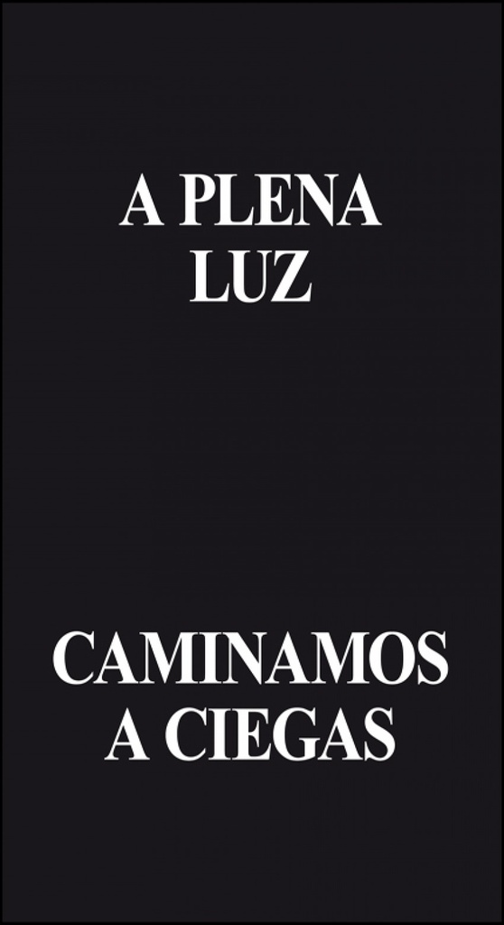 A plena luz caminamos a ciegas