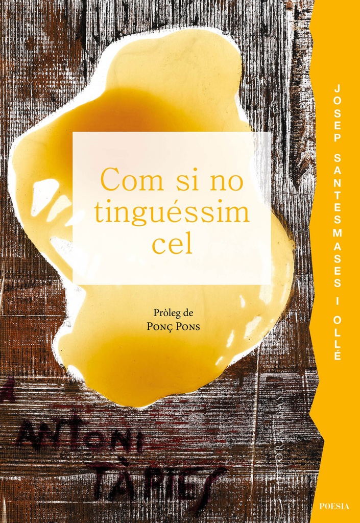 Com si no tinguéssim cel