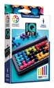 Iq fit smart games