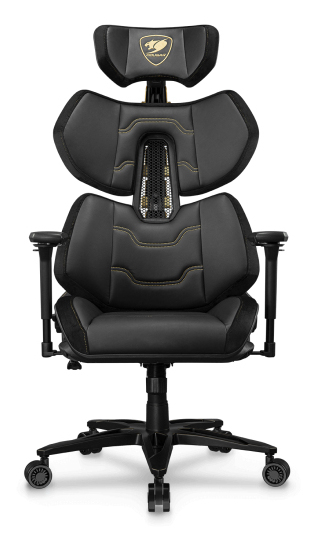 Terminator Elite Gold Silla para videojuegos de PC Asiento acolchado Negro, Oro