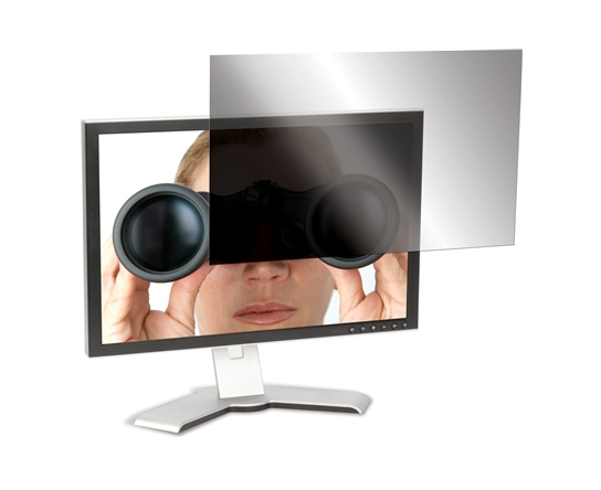 [ASF24WEU] Privacy Screen 24 W (16:10)