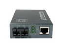 GVT-2014 convertidor de medio 1000 Mbit/s 1310 nm Monomodo Gris