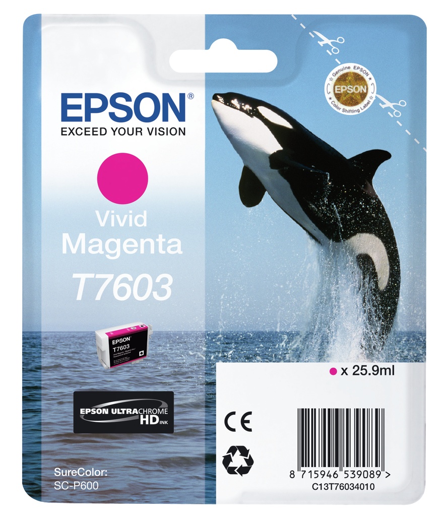 [C13T76034010] T7603 Magenta vivo