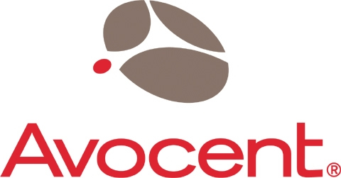 Avocent 1 Year 12x5 Mnt/Silver DSView Standard Pack 1 año(s)