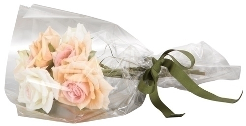 [RPT1] PAPEL REGALO COLIBRI 30x30 TRANSPARENTE