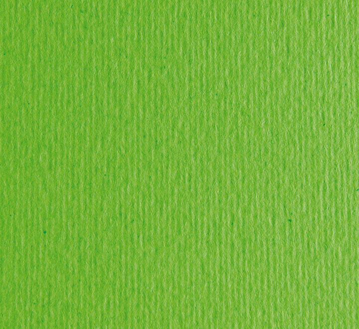 [13214] B.50H CART. LR SADIPAL A4 220G VERDE PISELLO 13214