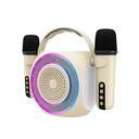 PARTYMIC2 Blanco 6 W