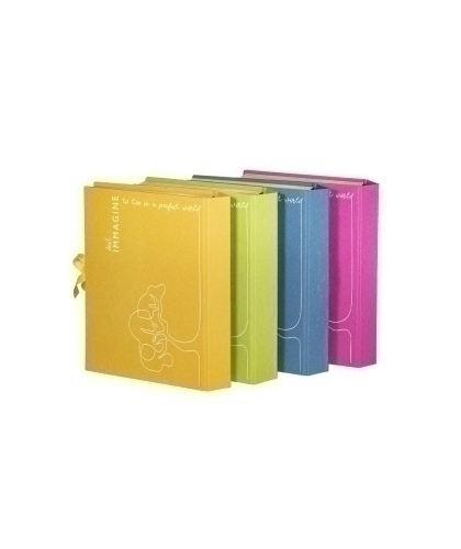 CLASIF.ACORD.CARCHIVO IMM. 17 DP.(A-Z) S - Pack de 4 unidades
