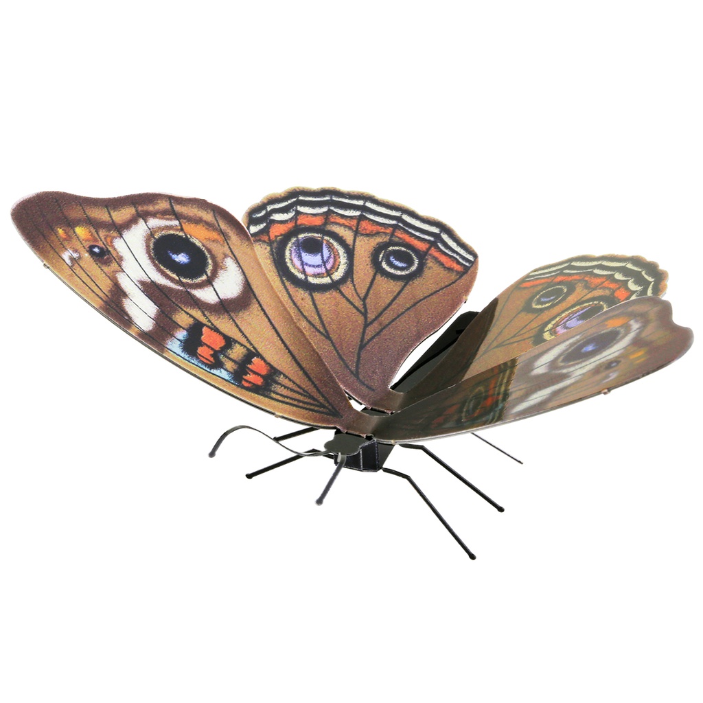 [MMS124] Metal Earth Buckeye