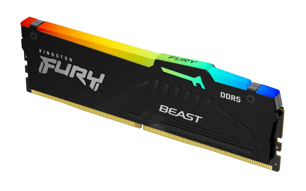 FURY Beast 16GB 6400MT/s DDR5 CL32 DIMM RGB EXPO