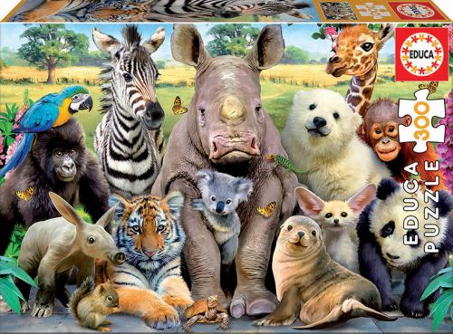 Foto de clase Puzzle 300