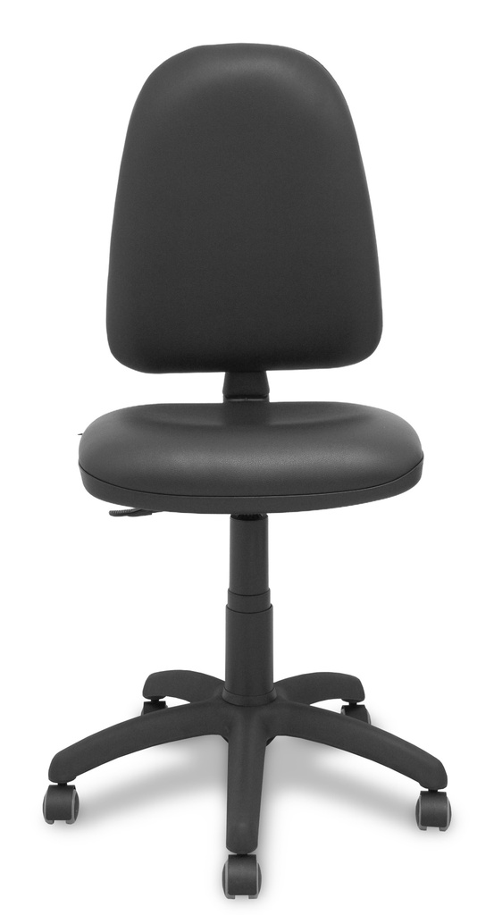 [04CPSP840RP] Ayna Asiento acolchado Respaldo acolchado