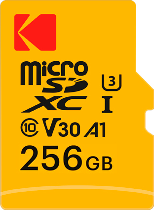 EKMSDM256GXC10HPRK memoria flash 256 GB MicroSD UHS-I Clase 10